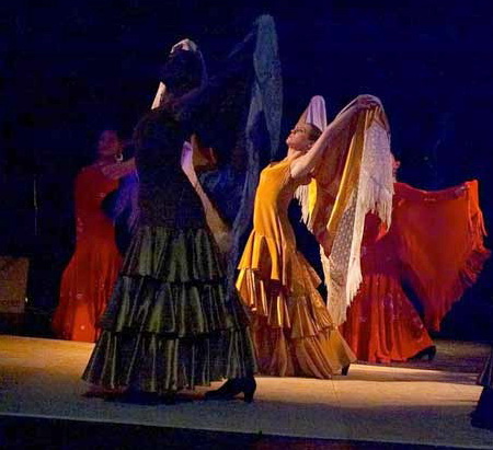 camino_2212.jpg