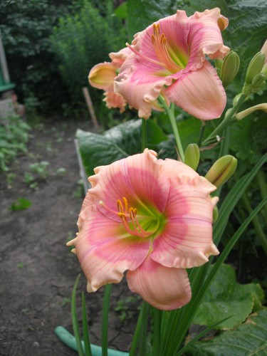 DSCN6782.JPG