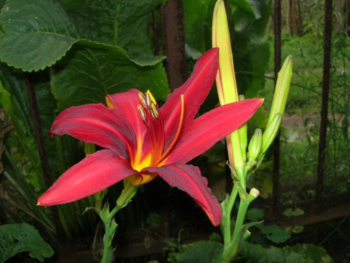 DSCN6789.JPG
