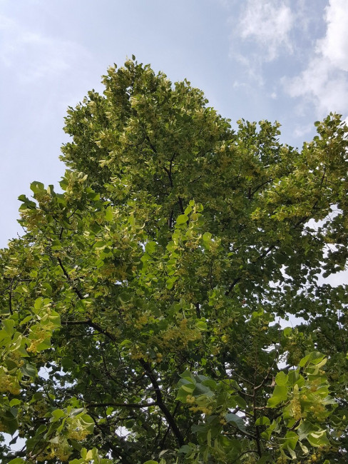 20230619_142040.jpg