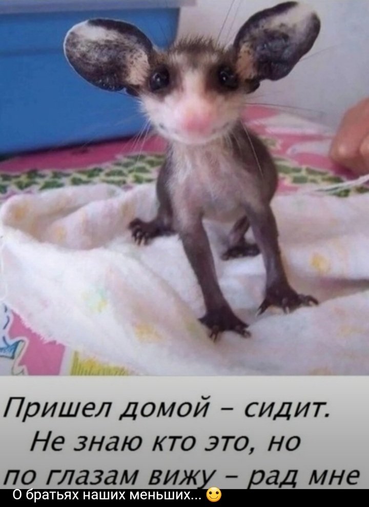 Screenshot_20230827-003749_Yandex Start.jpg