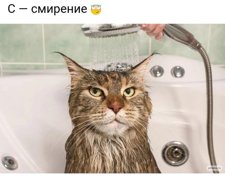 Screenshot_20230916-001601_Yandex Start.jpg