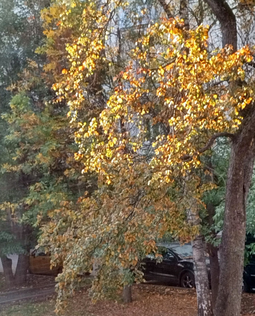 IMG_20230928_164843.jpg