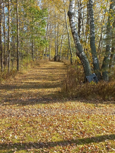 20230928_140451.jpg