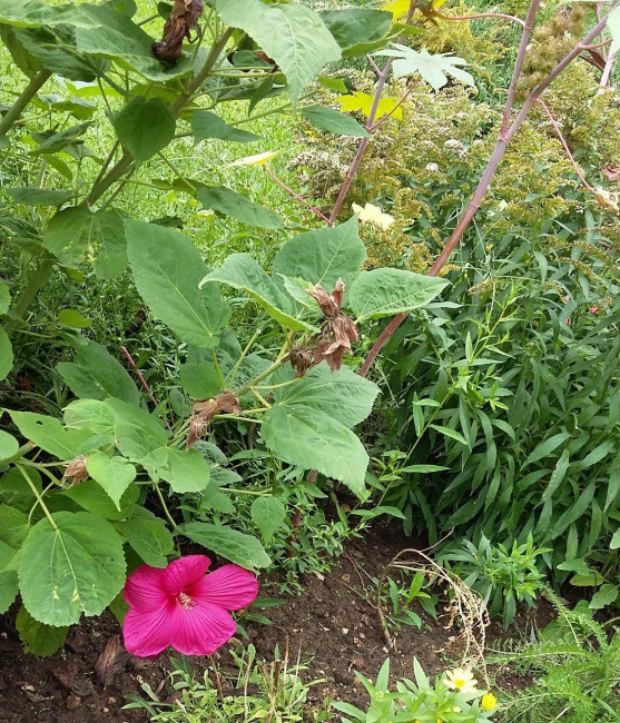 20220816_16291.jpg