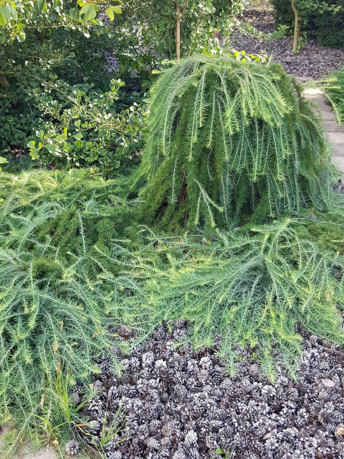 20230903_161336.jpg
