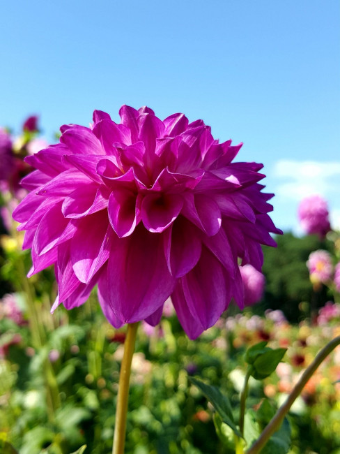 20230903_151951.jpg