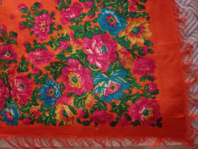 IMG20231106155811.jpg