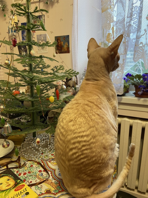 IMG_9051.jpeg
