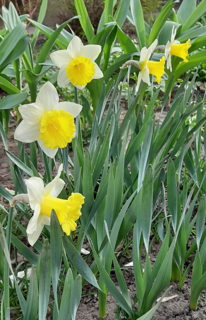 20240412_081119.jpg