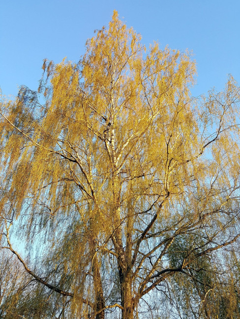 20240411_193224.jpg