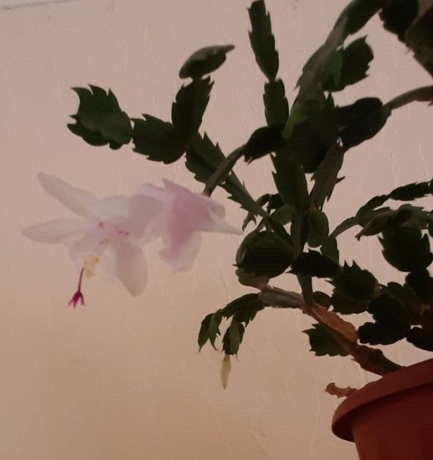 20240413_183729.jpg