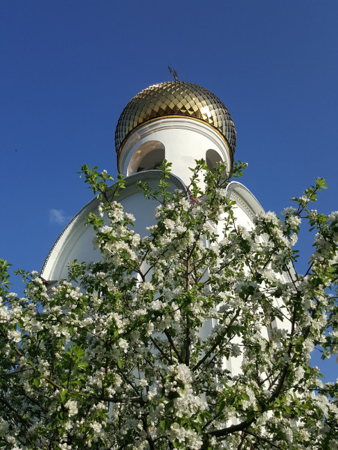 20240502_183920.jpg