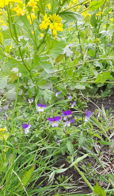 20240511_085645.jpg