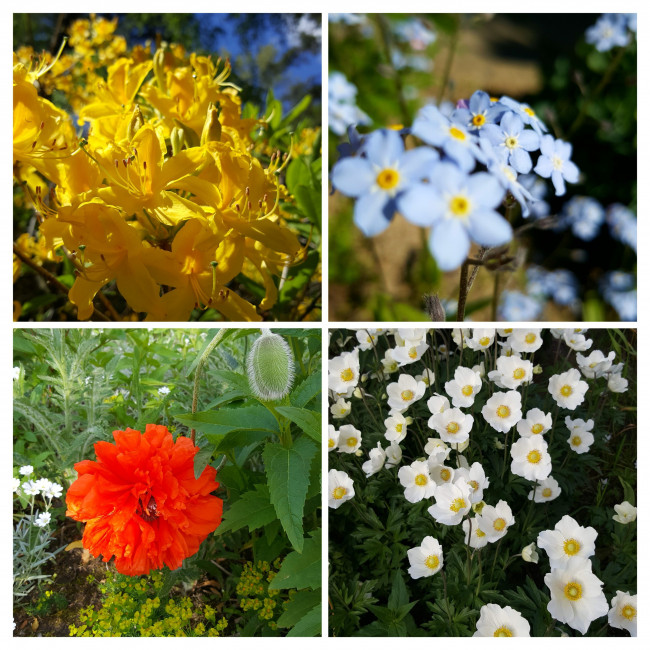20240521_123026-COLLAGE.jpg
