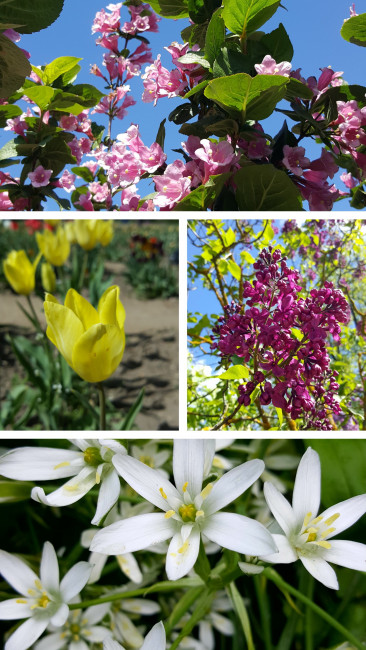 20240521_123537-COLLAGE.jpg