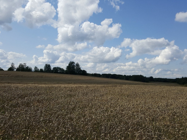 20240802_144820.jpg