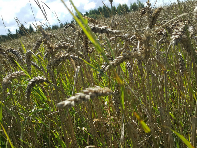 20240802_144619.jpg