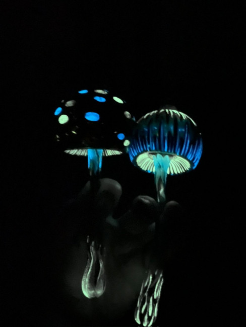 34033e3a-a0b3-490c-b8e8-93714d6c9786.jpeg
