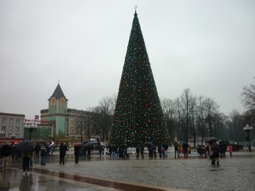P1060389(1).JPG
