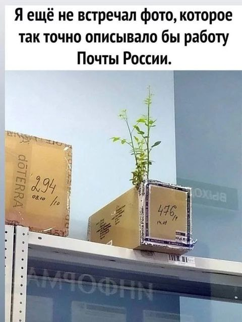 почта.png