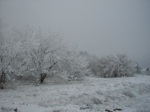 SDC10566а.JPG