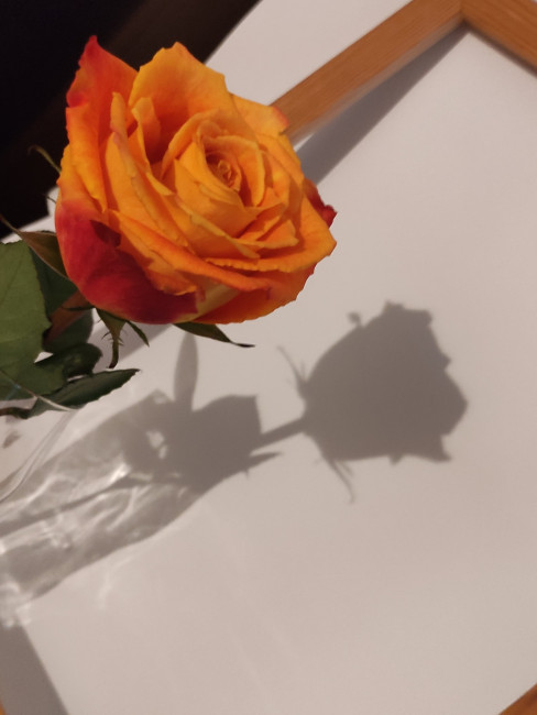 IMG_20250114_175542.jpg