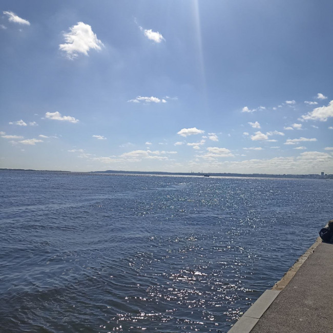 IMG_20250504_213328_861.jpg