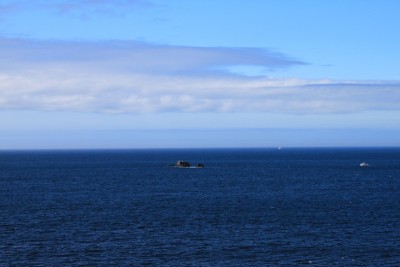 IMG_0992.JPG
