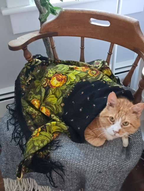 WhatsApp Image 2025-12-18 at 20.50.47.jpeg