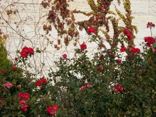 100_1663.JPG
