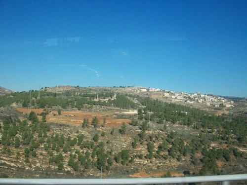 100_1707.JPG
