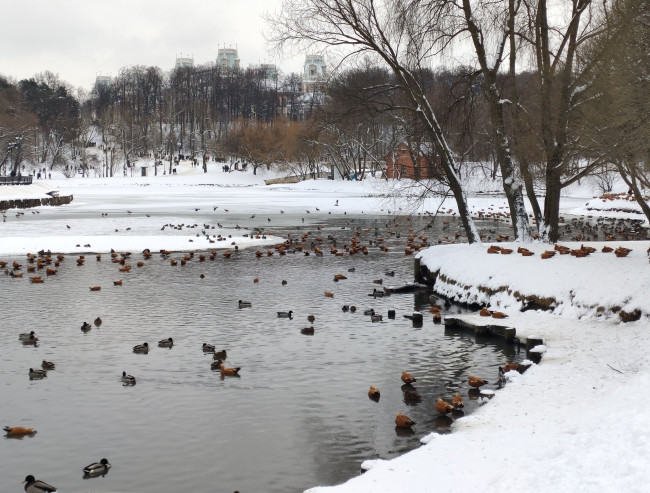 IMG20260106145118_081814_edit_8952161468145 (1) (1).jpg