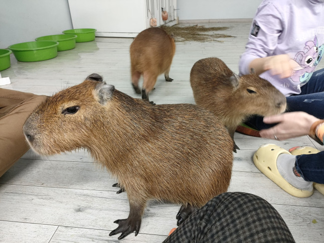 IMG20260109101318_025806 (1).jpg