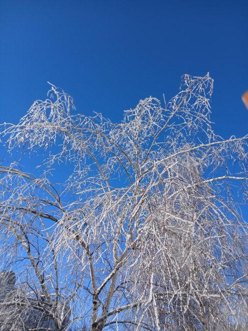 20260131_134402.jpg