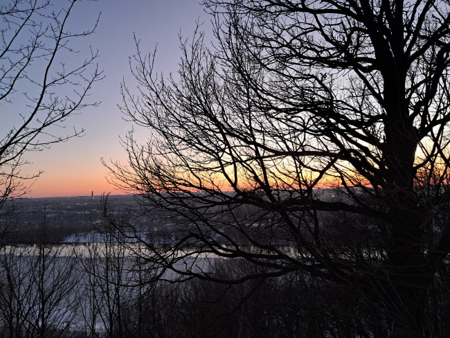 20260321_183425.jpg