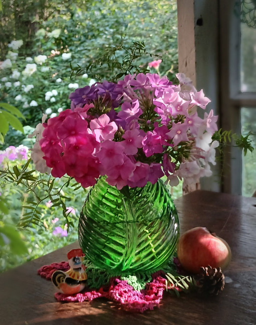 IMG_20260805_174659~2.jpg