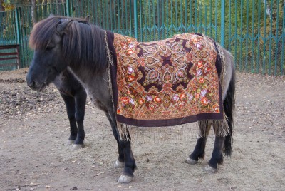 Пони Городской Романс 1.jpg