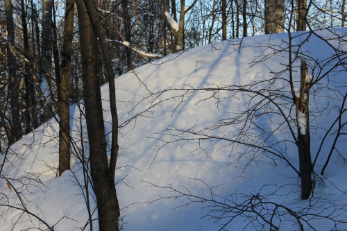 IMG_1186.JPG