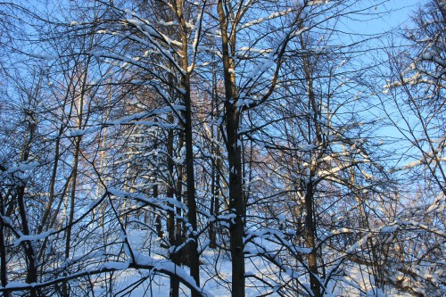 IMG_1189.JPG