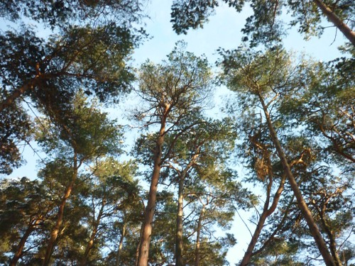 P1080052.JPG