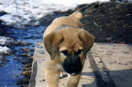 img158.jpg