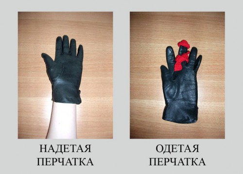 надетая перчатка.jpg