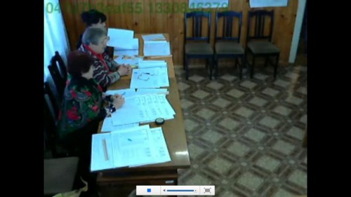 Шалька на выборах.jpg