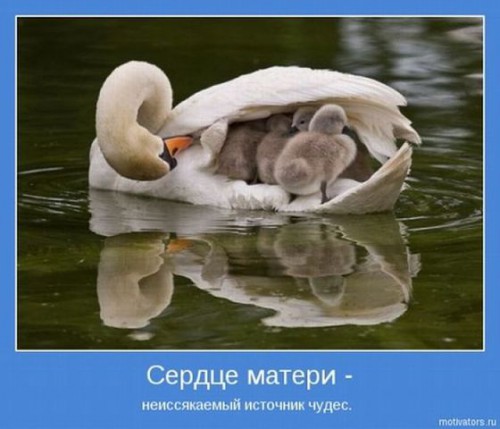 getImageCAN6OJNE.jpg