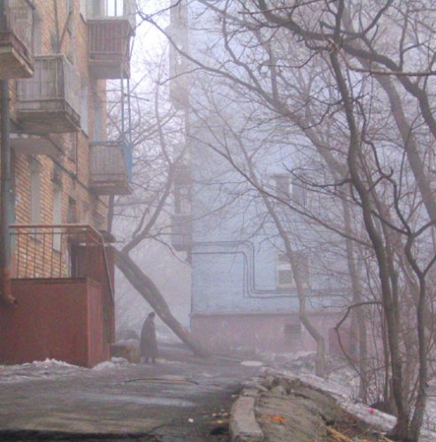 дама в тумане