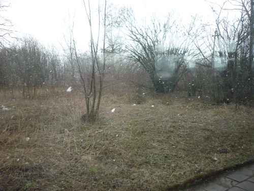 P1090298.JPG