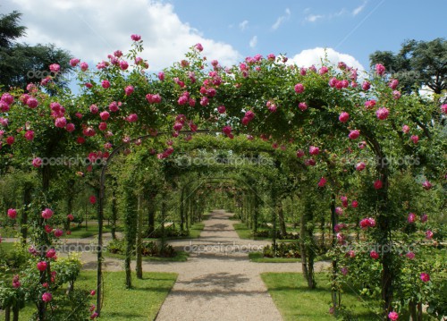 depositphotos_2094526-Pergola-in-a-french-garden.jpg (464.04 КБ) 4879 просмотров или так: