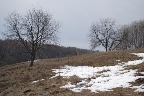 DSC_0270.jpg