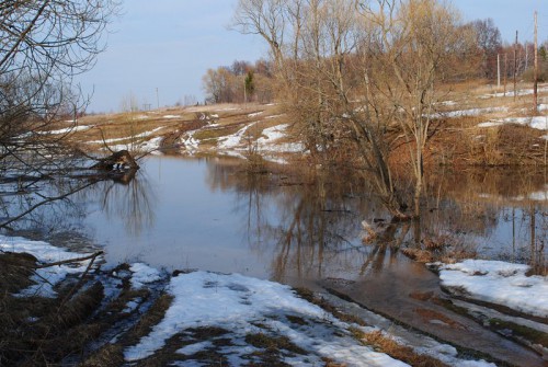 DSC_0275.jpg